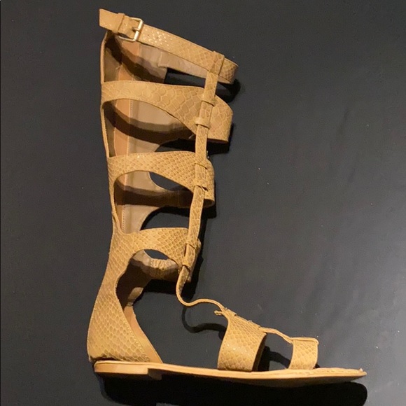 Tan gladiator sandals - Picture 5 of 14